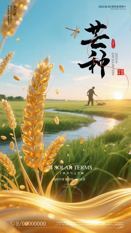 芒种海报