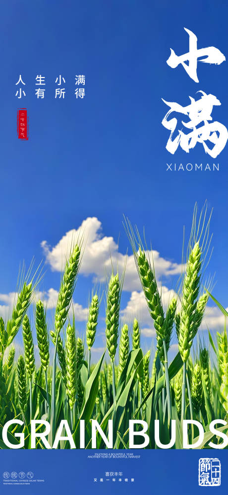 源文件下载【节气小满海报】编号：90470030713592153
