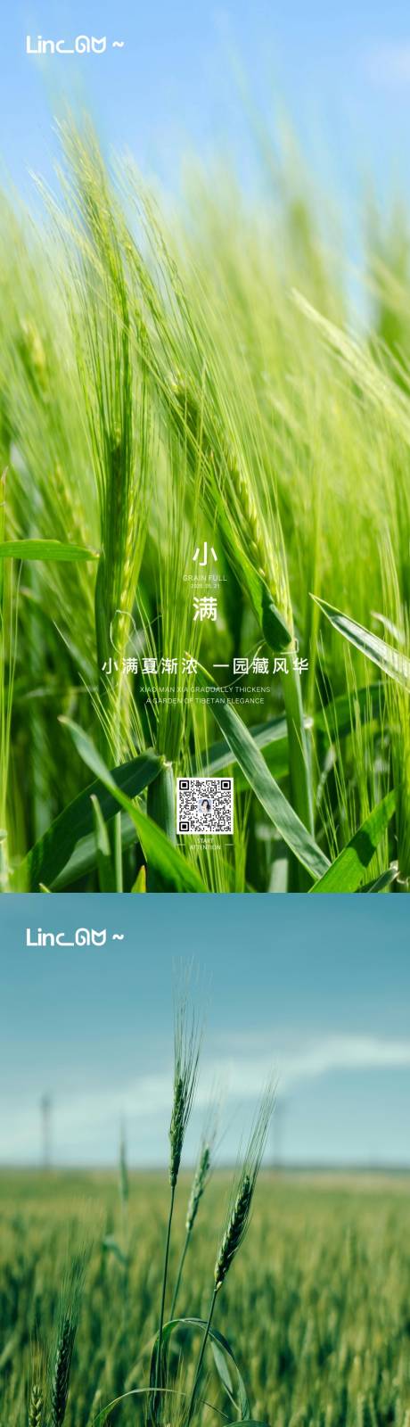 源文件下載【享設計】搜索編號：72110030872572014【小滿海報】