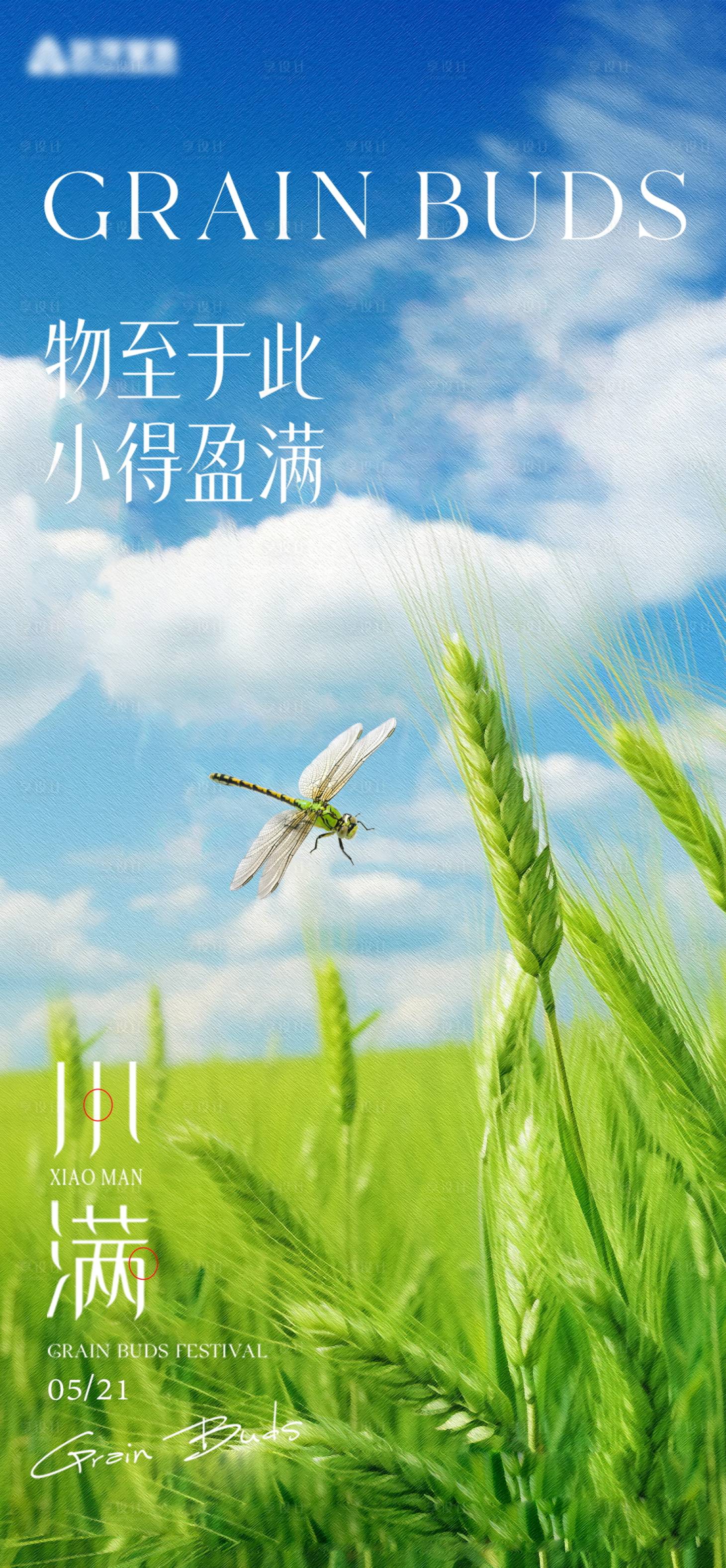 源文件下载【享设计】搜索编号：70370030789573793【小满节气海报】