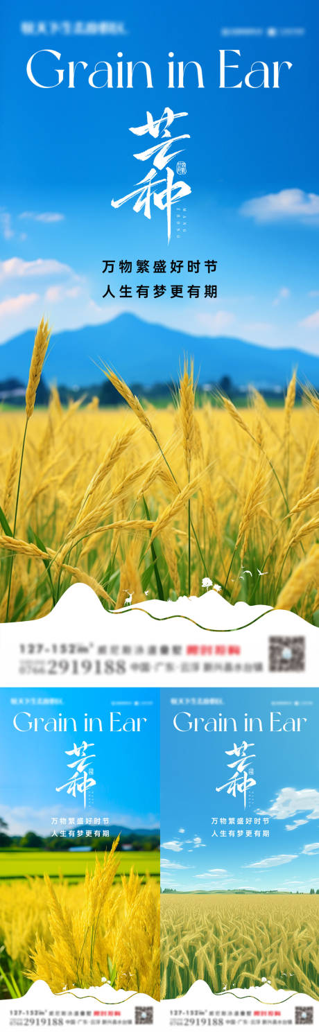 源文件下载【芒种二十四节气麦穗系列稻田】编号：82920030987811461