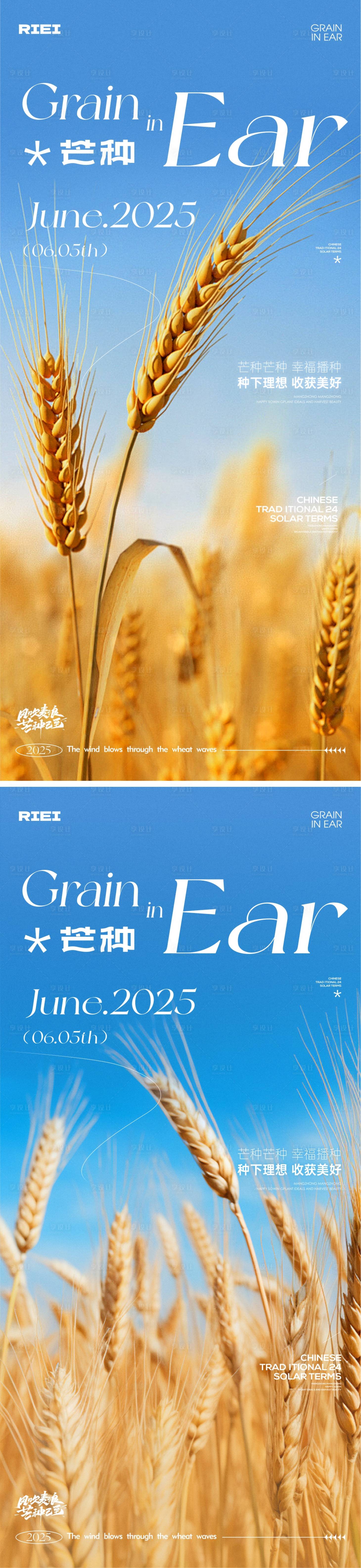 源文件下载【享设计】搜索编号：28630030973864051【芒种节气海报】