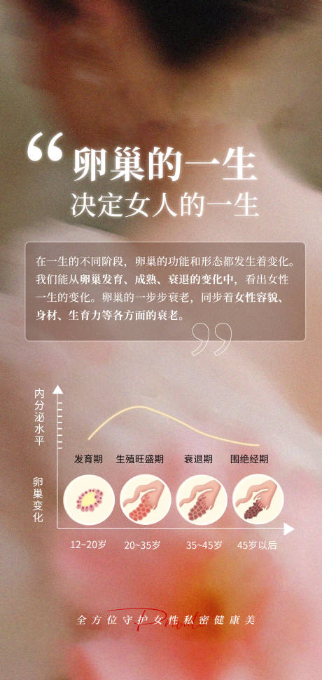 源文件下载【享设计】搜索编号：90990030552997360【卵巢的一生就是女人的一生】