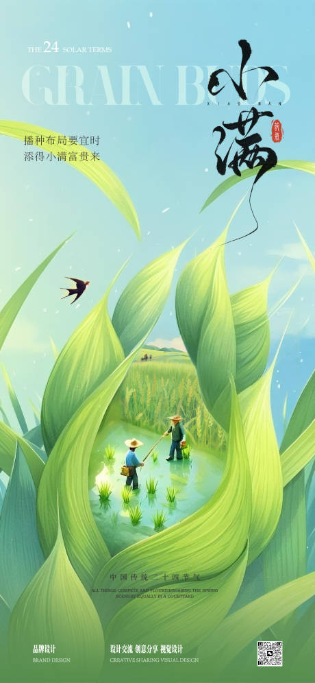 小满节气海报