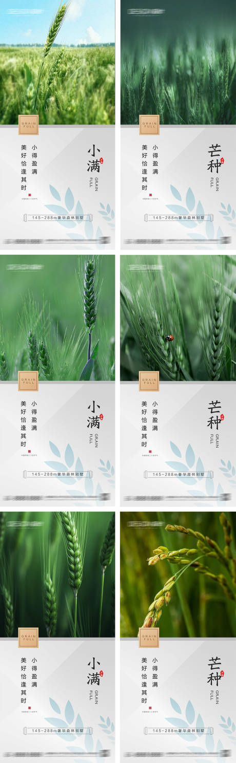 源文件下载【地产小满芒种节气海报】编号：44450031047098359