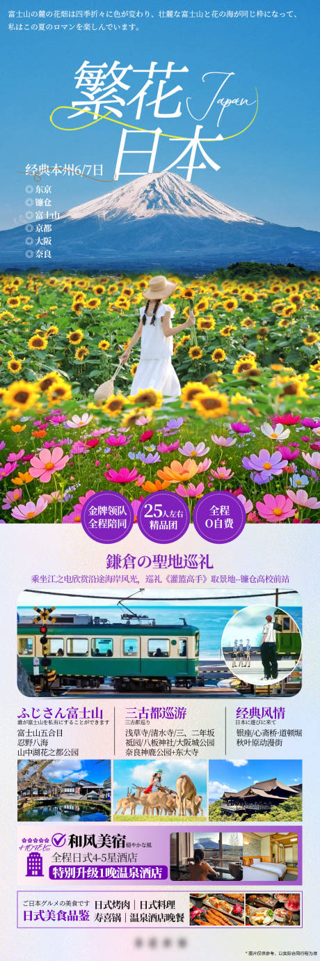 日本本州富士山花海海报