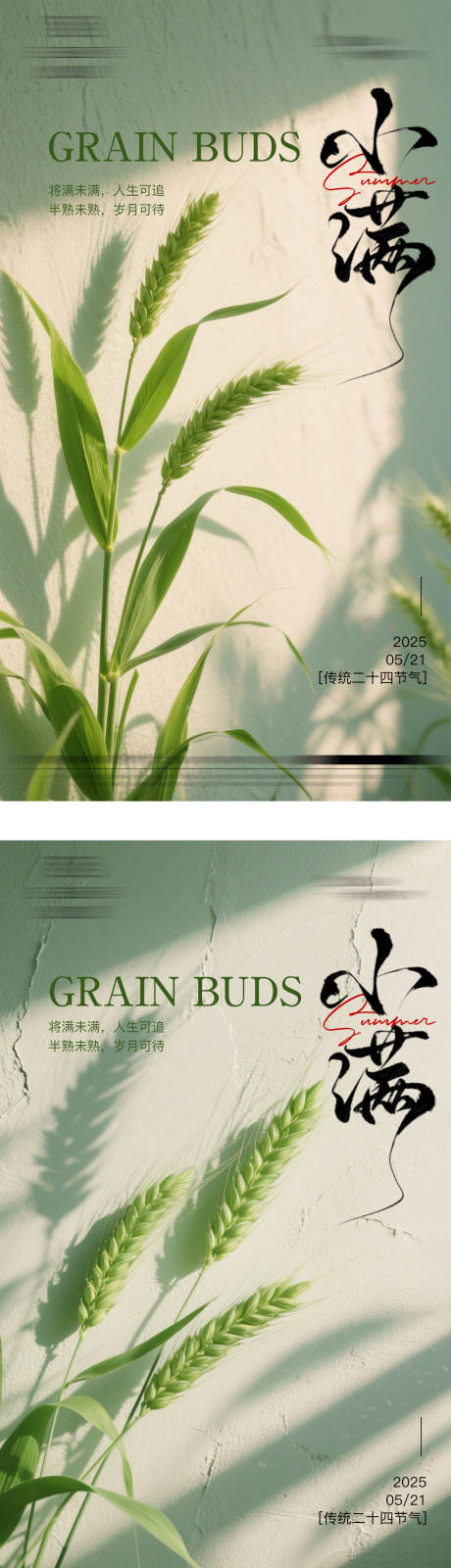 源文件下載【小滿節氣海報】編號：34580030795237719