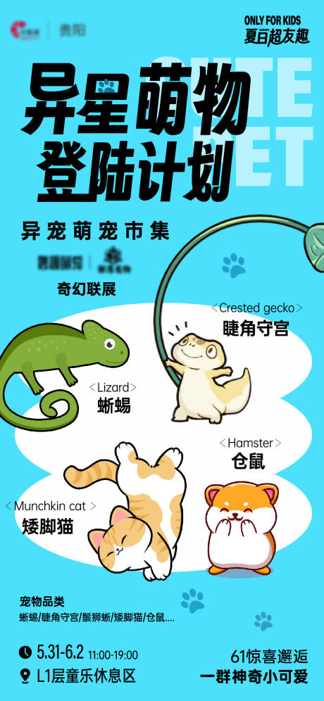 宠物海报