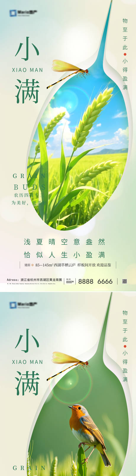 源文件下载【小满节气海报】编号：48460030670443901