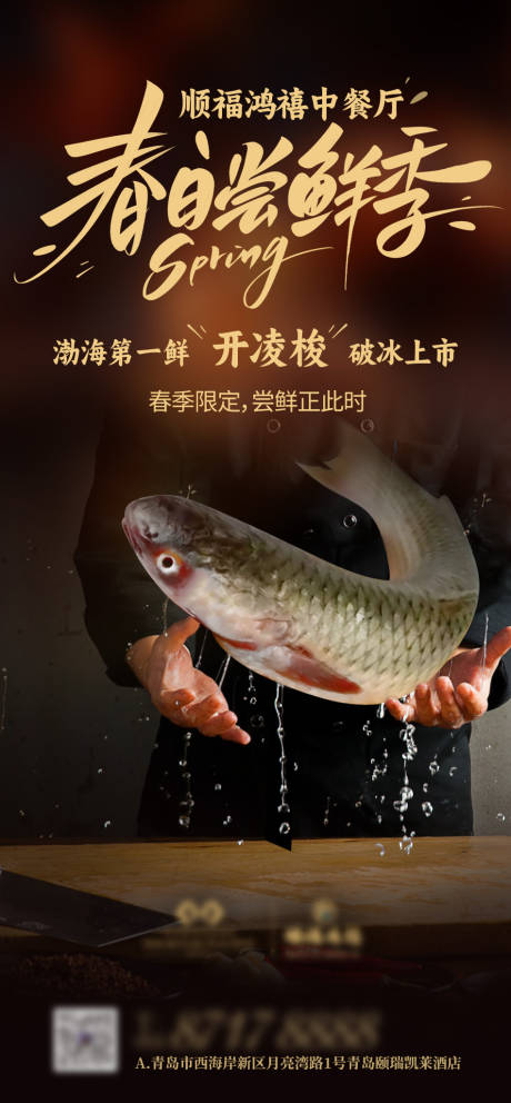 源文件下载【春季尝鲜餐厅开凌梭鱼新品上市海报】编号：15620030931863735