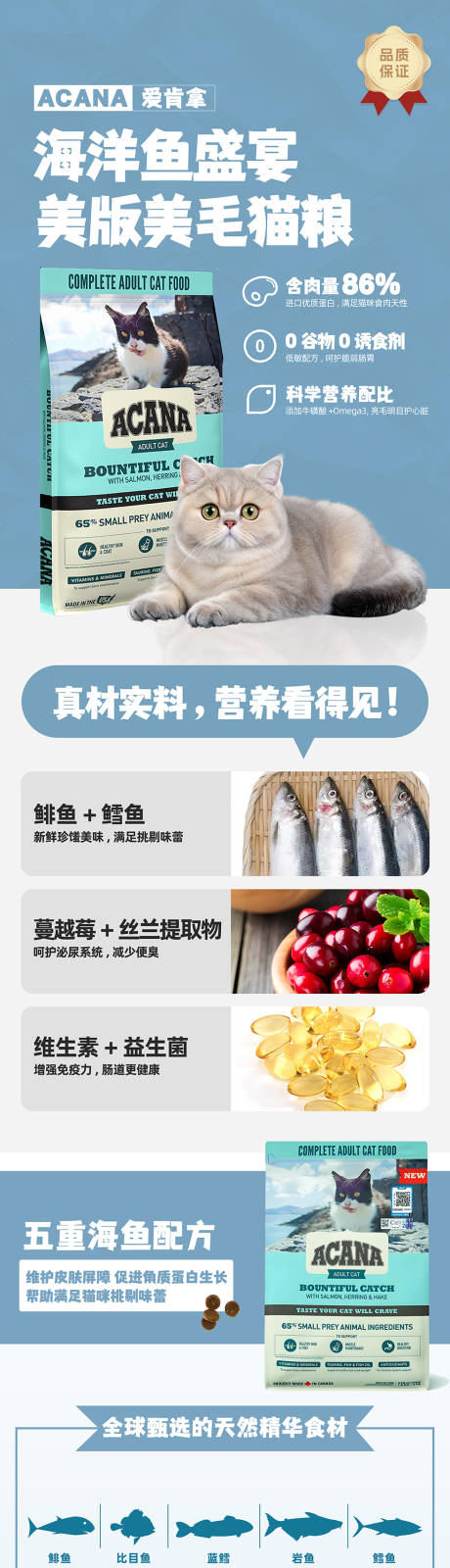 猫粮电商详情页