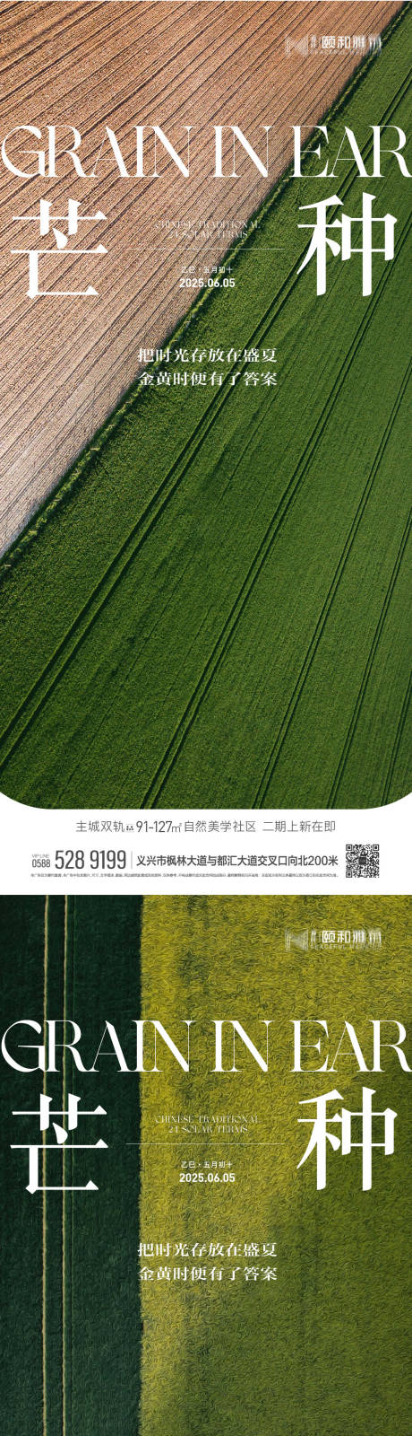 源文件下載【享設計】搜索編號：70180030918025679【2025年芒種二十四節氣節日海報】