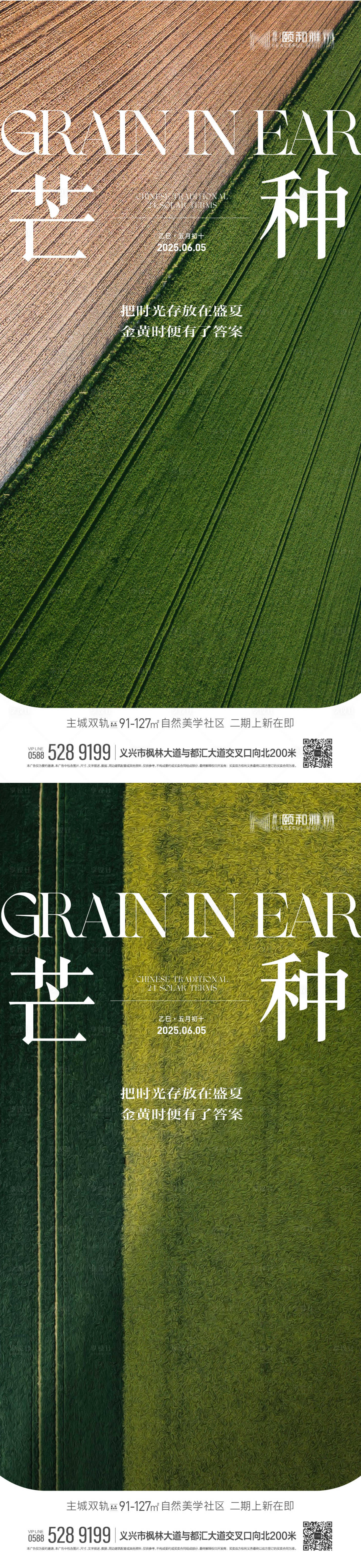 源文件下載【享設計】搜索編號：70180030918025679【2025年芒種二十四節氣節日海報】