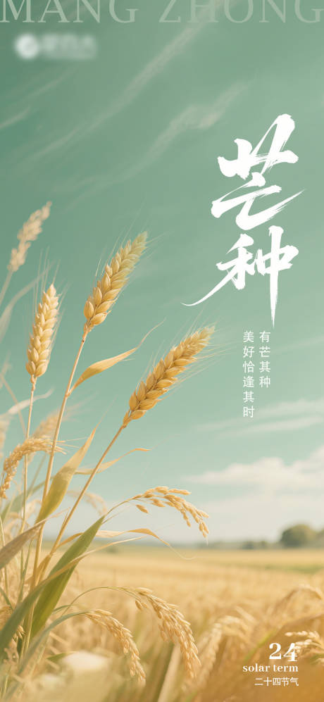源文件下载【24节气之芒种海报】编号：18600030714348583
