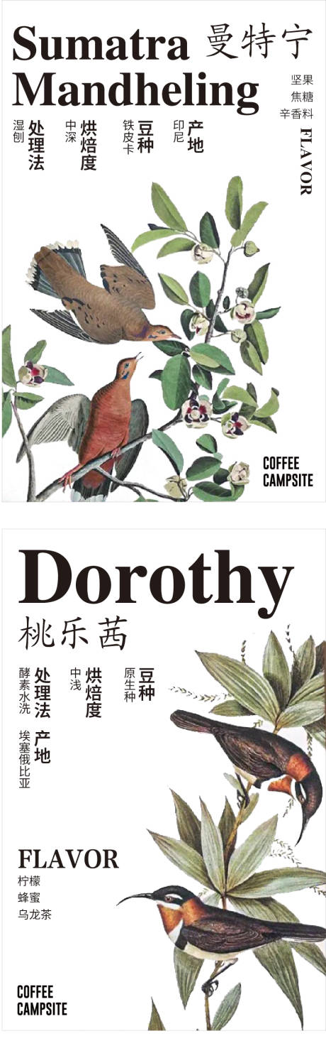 源文件下载【咖啡豆标签海报】编号：38950030770651610