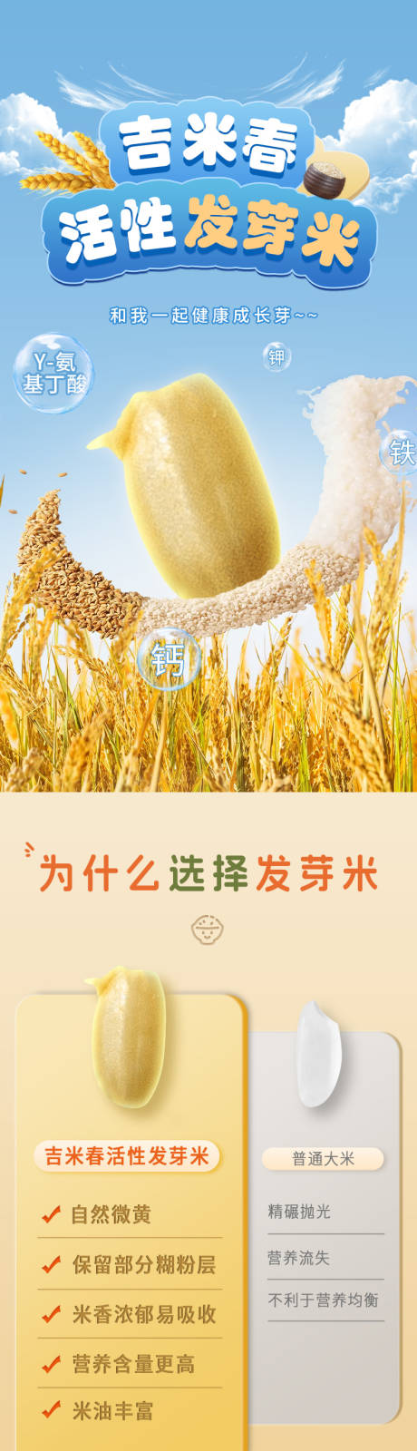 源文件下载【大米详情】编号：86040030577582861