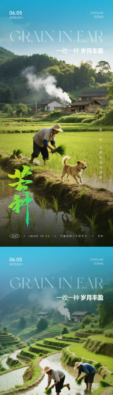源文件下载【享设计】搜索编号：21410030889968406【芒种节气海报】