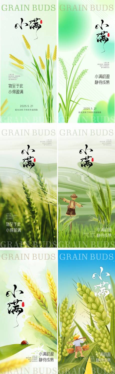 源文件下载【小满节气系列海报】编号：55520030642976515