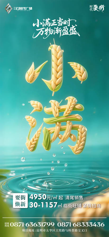 地产小满节气海报
