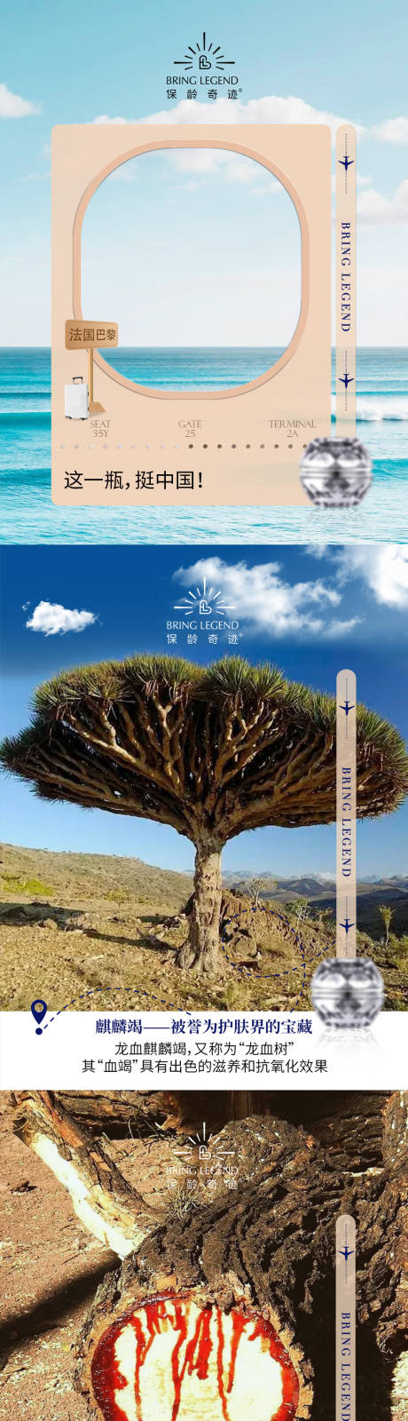 源文件下載【享設計】搜索編號：36760030857121826【小紅書麒麟竭成分科普系列海報】