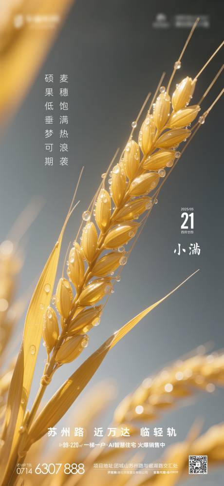 源文件下载【地产节气小满海报】编号：60410030593632796