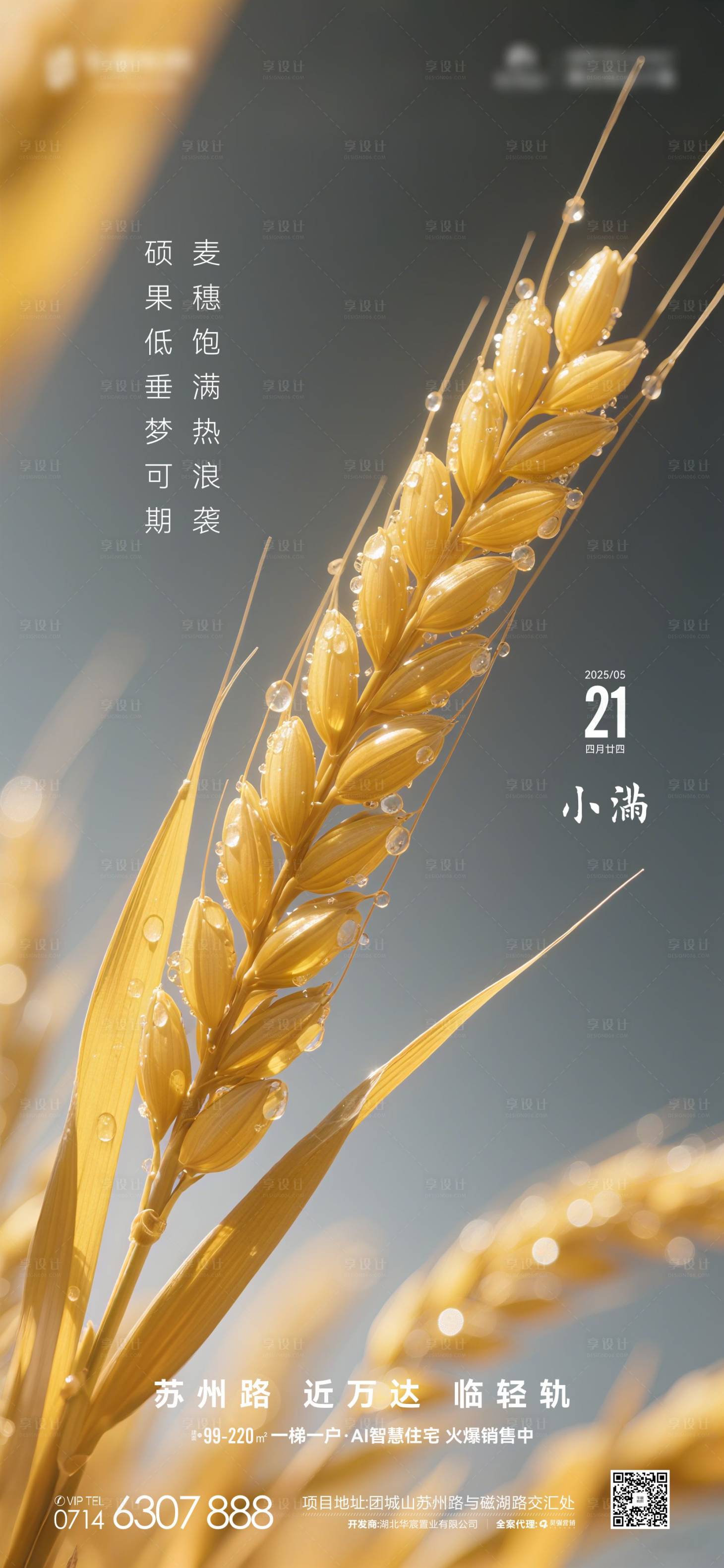 源文件下載【地產節氣小滿海報】編號：60410030593632796
