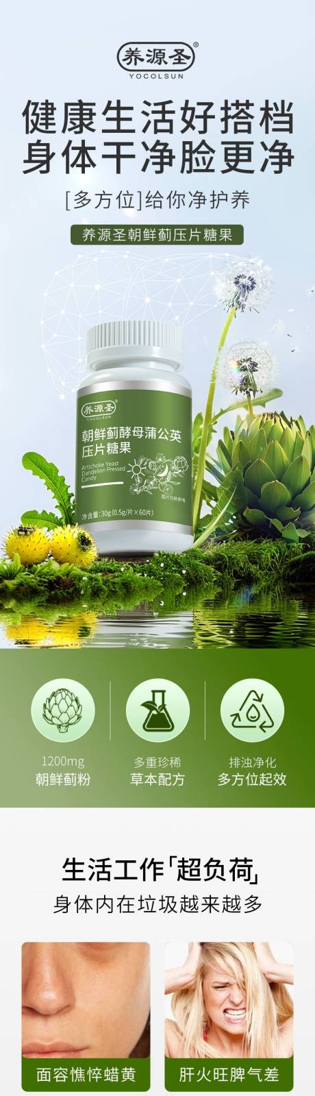 电商详情页朝鲜蓟酵母蒲公英压片糖果