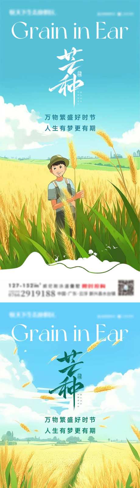 源文件下载【芒种节气海报】编号：10500030994408487