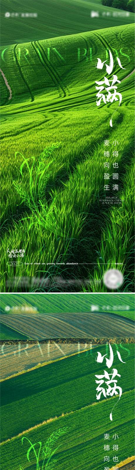 源文件下载【小满节气海报】编号：13180030730302985