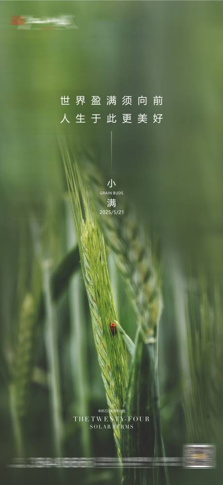 源文件下載【小滿(mǎn)海報(bào)】編號(hào)：71810030798259230