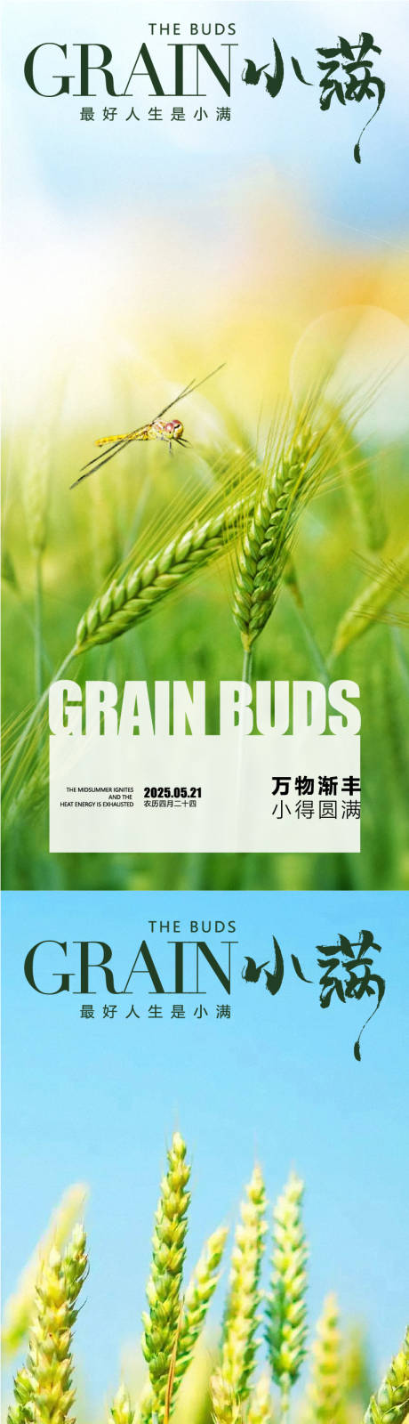 源文件下載【享設計】搜索編號：55280030677667533【小滿芒種】