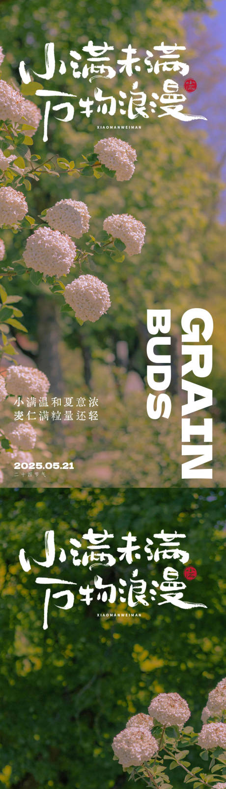 源文件下载【享设计】搜索编号：21650030613064646【小满节气海报521浪漫海报】