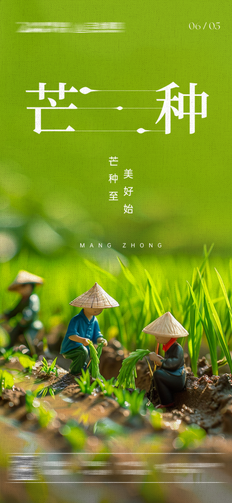源文件下载【芒种节气微距海报】编号：95190030690143445