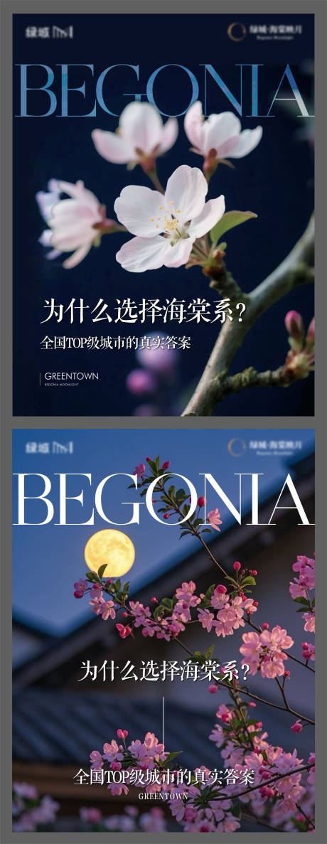 地产海棠花海报