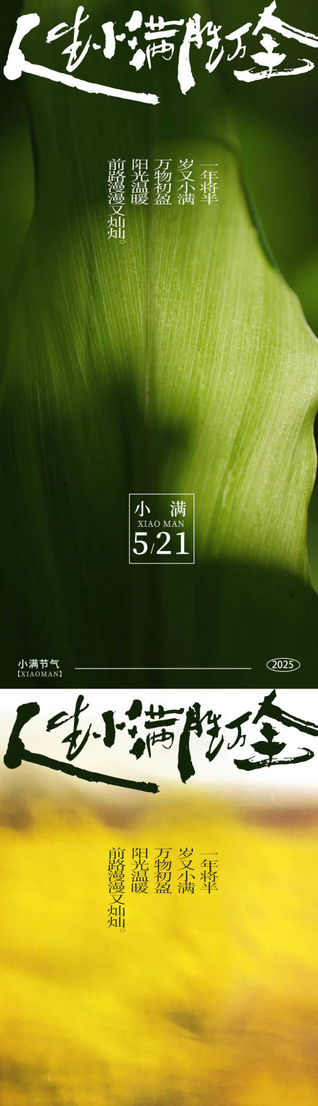 源文件下载【享设计】搜索编号：39330030800309682【小满节气地产海报】