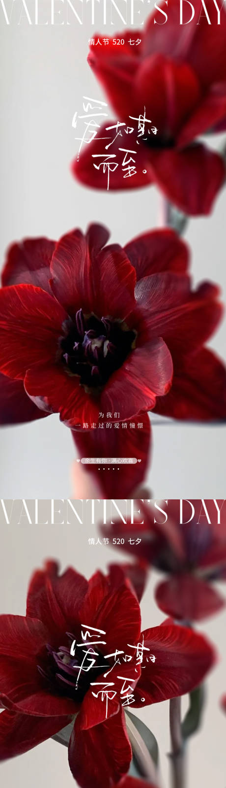 源文件下载【520情人节玫瑰海报】编号：62760030743877619