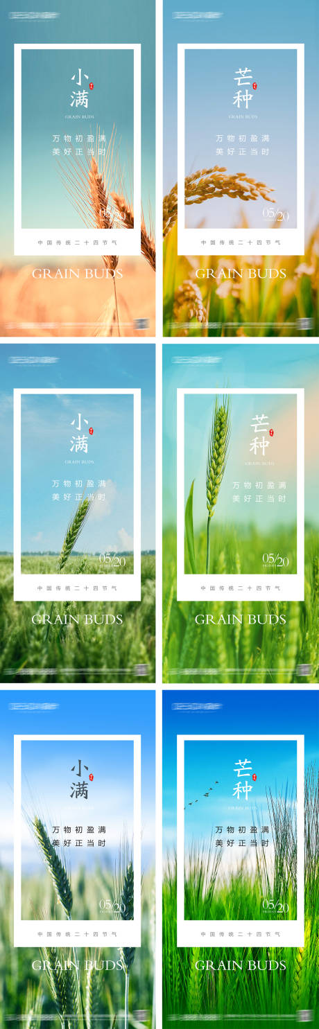 源文件下载【小满芒种节气系列海报】编号：11010030649436288