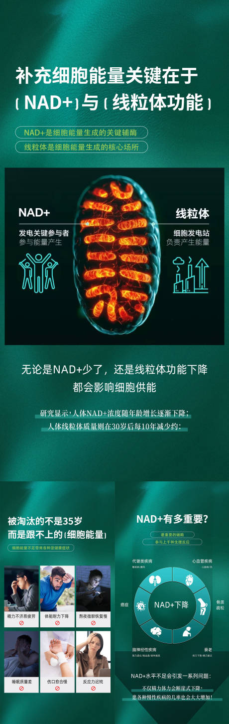 源文件下载【NAD+ 细胞能量 线粒体】编号：29570030978877490