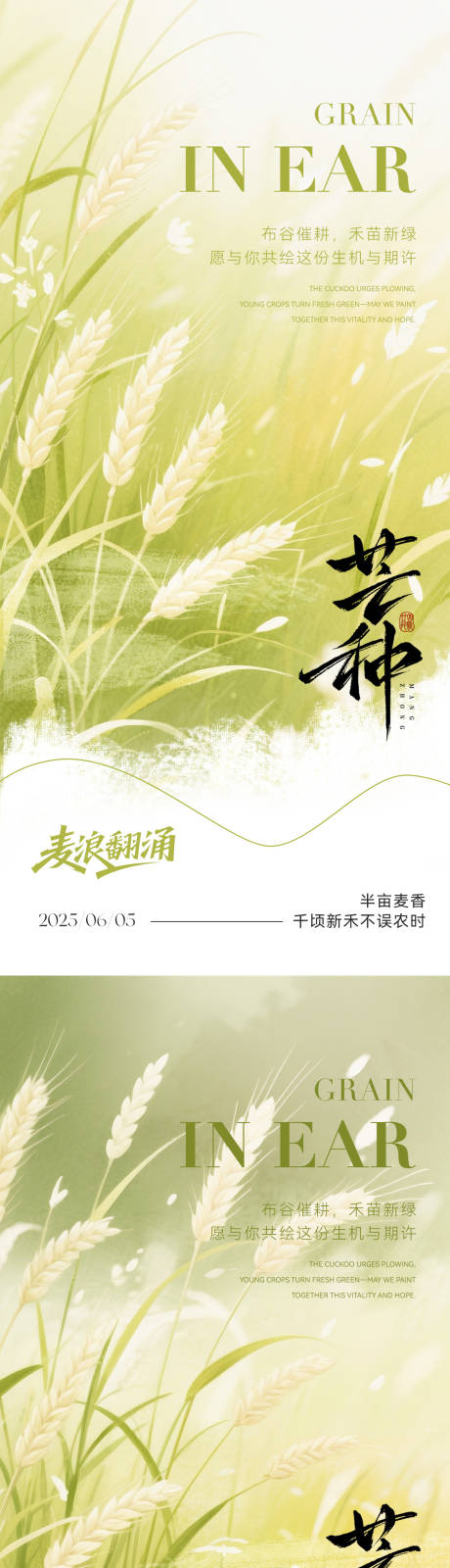 源文件下载【芒种节气海报】编号：39460030740397567