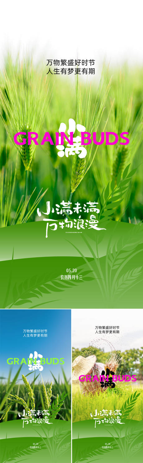 源文件下载【小满节气系列海报】编号：60760030682646430