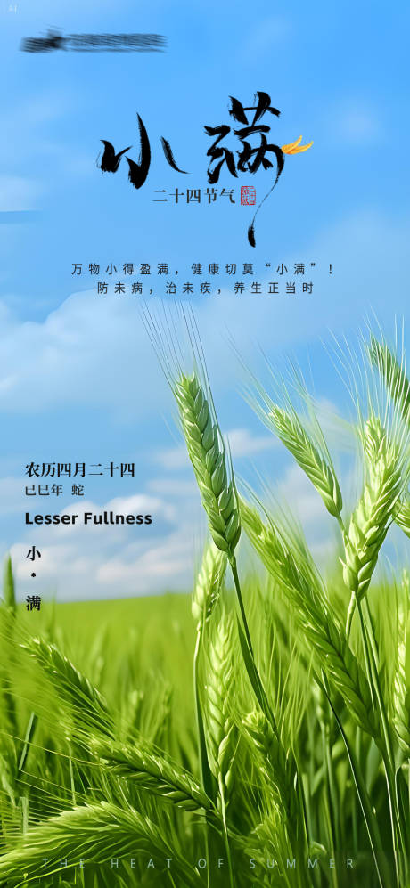 源文件下载【地产小满节气海报】编号：13520030591215376