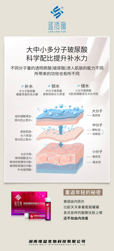 源文件下載【享設計】搜索編號：46730030949726399【玻尿酸大中小分子產品宣傳海報】