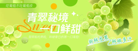 源文件下载【青色葡萄背景板】编号：88670030546894416
