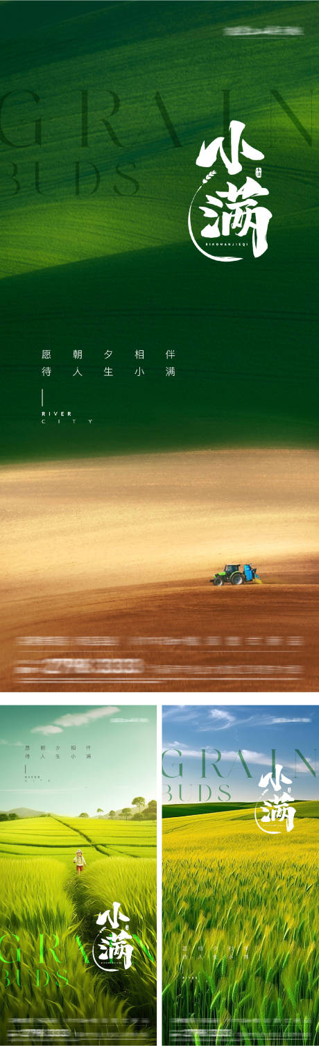 源文件下载【小满二十四节气系列海报】编号：76240030566822860