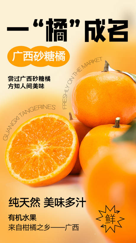 橘子水果海报