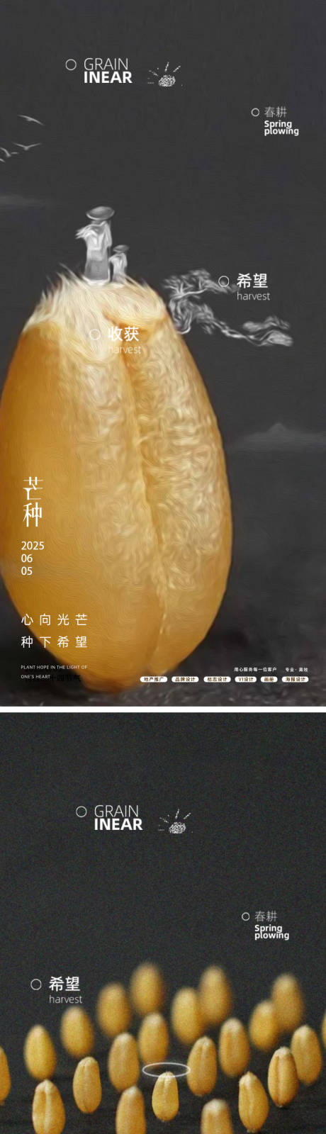 源文件下载【芒种24节气麦粒海报】编号：62570031043869523