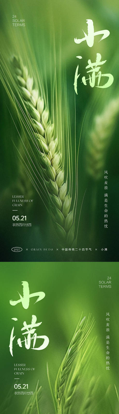 源文件下載【小滿節氣系列海報】編號：61830030579438381