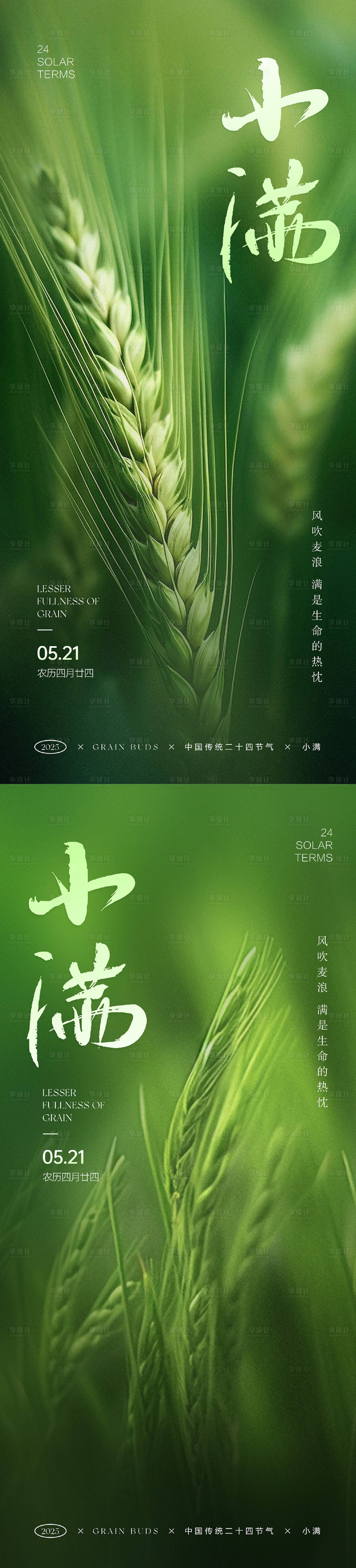 源文件下載【小滿節氣系列海報】編號：61830030579438381
