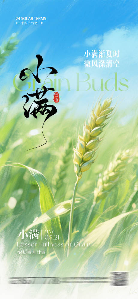 源文件下载【小满节气海报】编号：63480030849186927