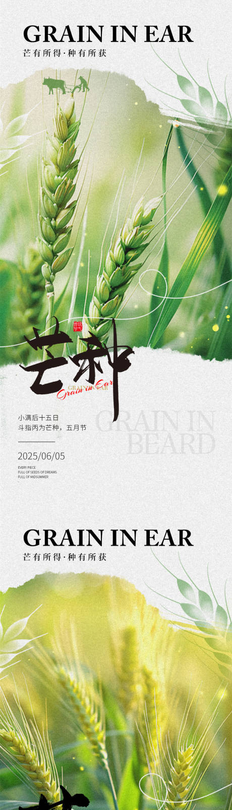 源文件下载【芒种二十四节气地产海报】编号：72630030868554874